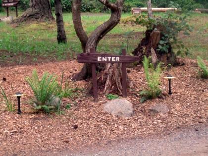 Inn to the Woods - image 14