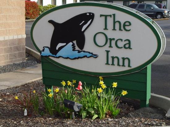 The Orca Inn - main image