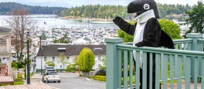 The Orca Inn - image 10