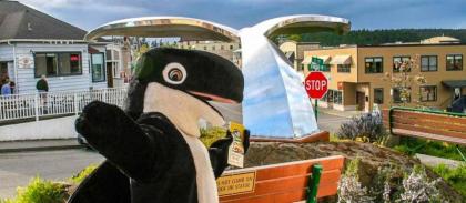 The Orca Inn - image 12