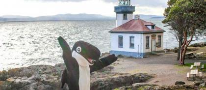The Orca Inn - image 9