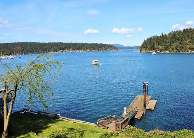 Friday Harbor Lights - main image