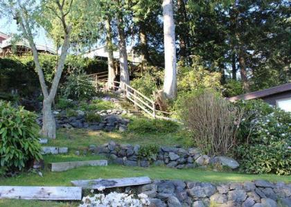 Friday Harbor Lights - image 11