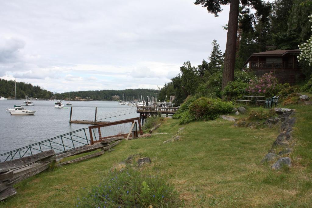 Friday Harbor Lights - image 3