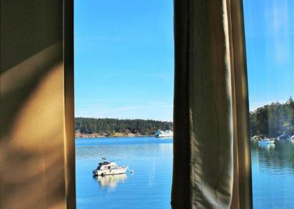 Friday Harbor Lights - image 5