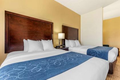 Comfort Suites Frisco - image 10