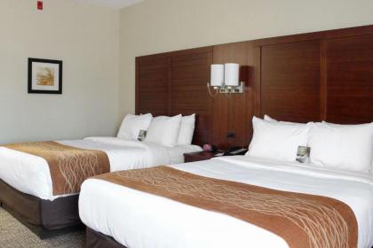 Comfort Inn & Suites - image 2