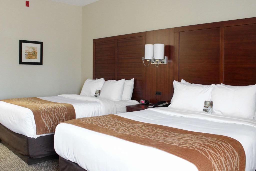 Comfort Inn & Suites - image 2