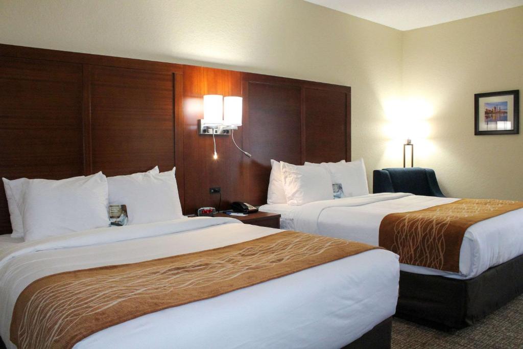 Comfort Inn & Suites - image 4