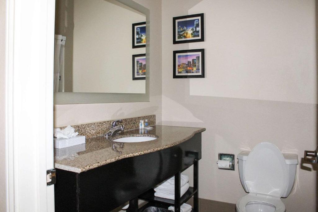 Comfort Inn & Suites - image 5