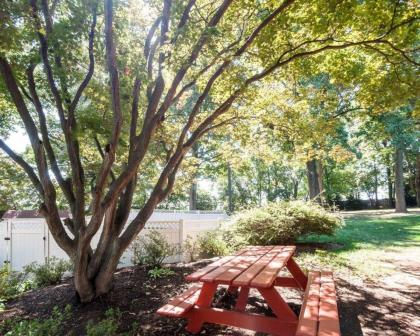 Comfort Inn Shady Grove - Gaithersburg - Rockville - image 9