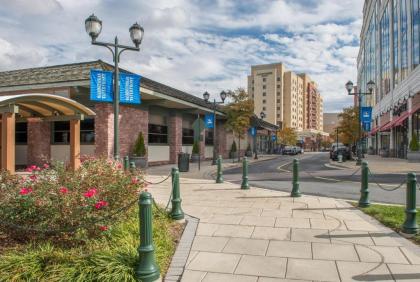 SpringHill Suites by Marriott Gaithersburg - image 9