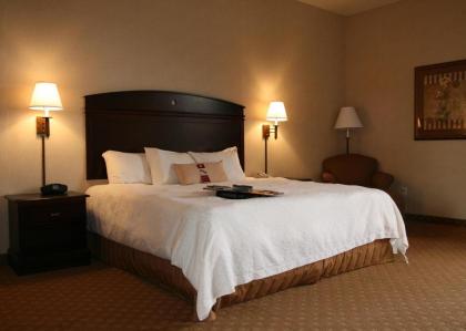 Hampton Inn & Suites Gallup - image 6