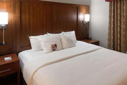Comfort Suites Gallup East Route 66 and I-40 - image 13