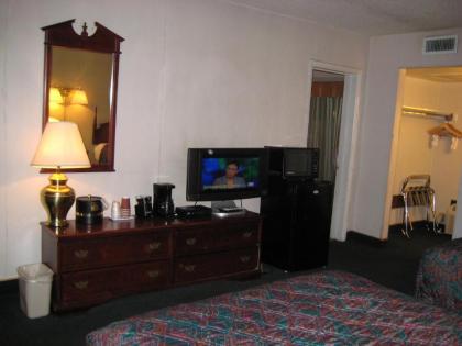 Royal Holiday Motel - image 8