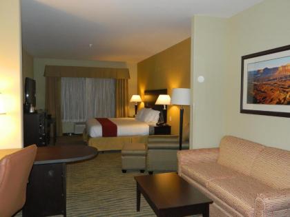 Holiday Inn Express & Suites Gallup East an IHG Hotel - image 4