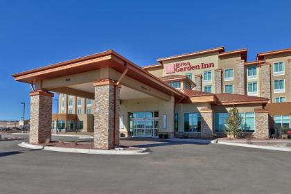 Hilton Garden Inn Gallup - image 10