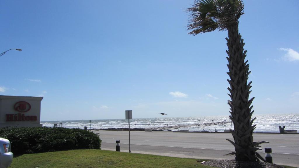 Hilton Galveston Island Resort - image 2