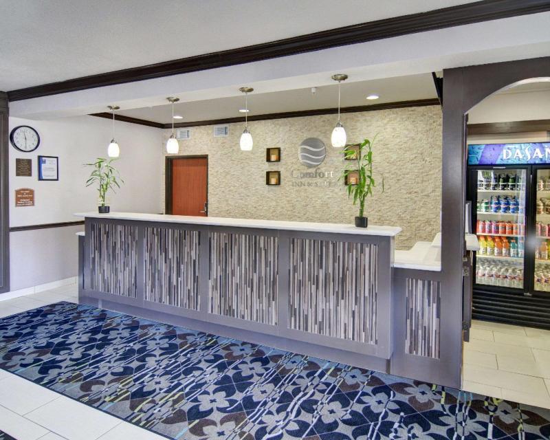 Comfort Inn & Suites Beachfront - image 2