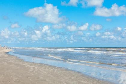 Beach Oasis - image 5