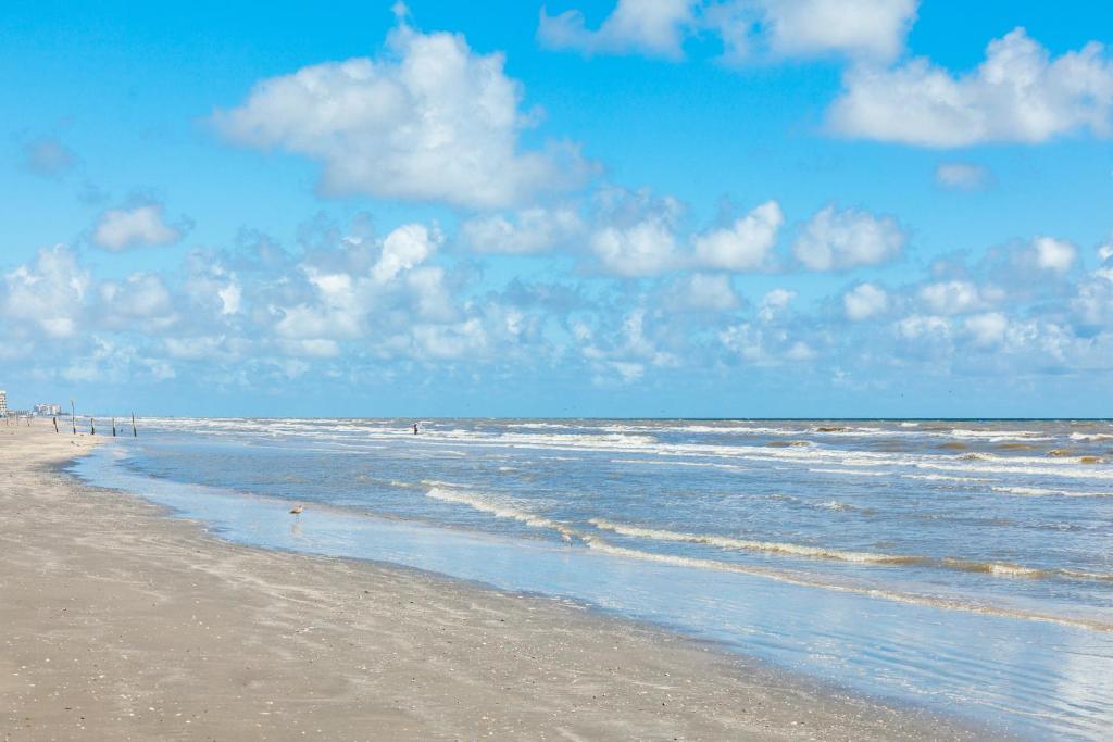 Beach Oasis - image 5