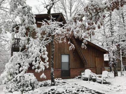 Norfork Lake Ozark Mountain Lodge - image 13