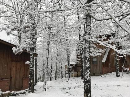 Norfork Lake Ozark Mountain Lodge - image 14