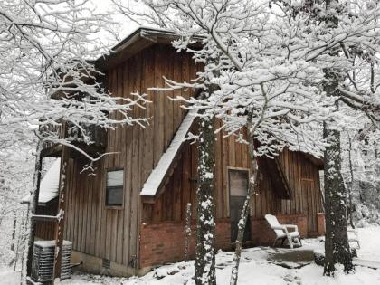 Norfork Lake Ozark Mountain Lodge - image 15