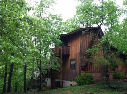 Norfork Lake Ozark Mountain Lodge - image 3
