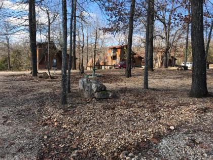 Norfork Lake Ozark Mountain Lodge - image 7