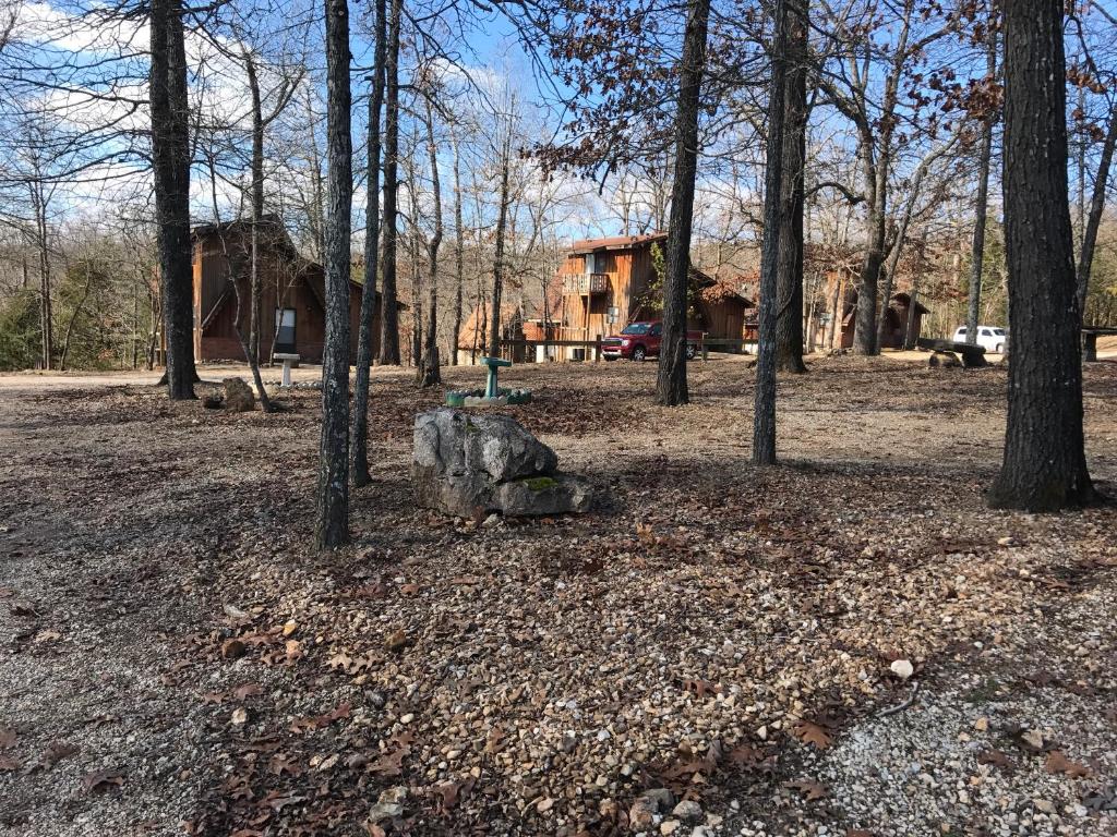 Norfork Lake Ozark Mountain Lodge - image 7