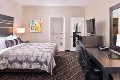 Best Western Plus Park Place Inn - Mini Suites - image 3