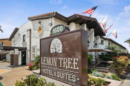 the Lemon tree Hotel California