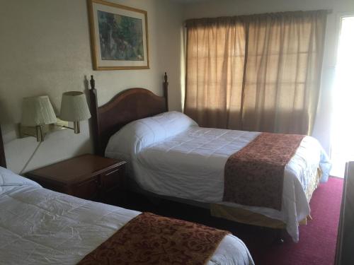 Frontier Motel - main image