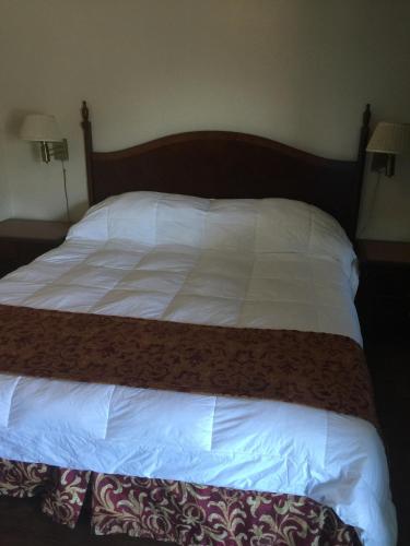 Frontier Motel - image 3