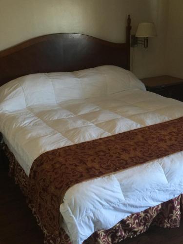 Frontier Motel - image 5