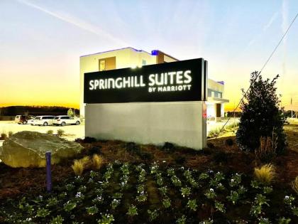 SpringHill Suites by Marriott Birmingham Gardendale - image 8