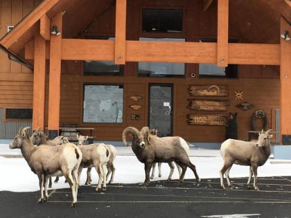 Hotel in Gardiner Montana