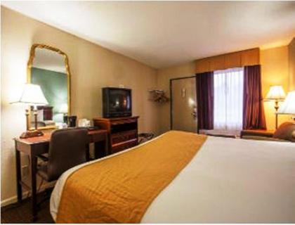 Super 8 by Wyndham Garysburg/Roanoke Rapids - image 3