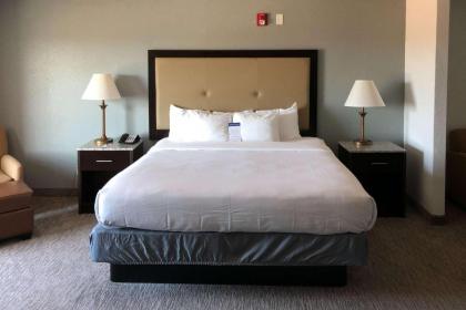 Comfort Inn & Suites - image 11