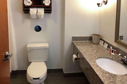Comfort Inn & Suites - image 12