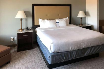 Comfort Inn & Suites - image 13