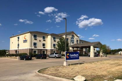 Comfort Inn & Suites - image 3