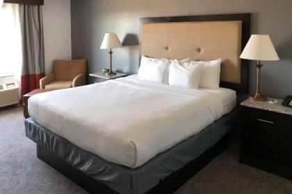 Comfort Inn & Suites - image 4