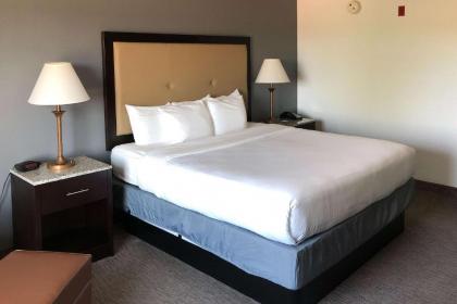 Comfort Inn & Suites - image 7