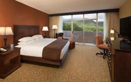 The Park Vista - A DoubleTree by Hilton Hotel - Gatlinburg - image 10