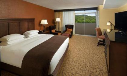 The Park Vista - A DoubleTree by Hilton Hotel - Gatlinburg - image 11
