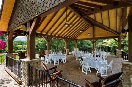 The Park Vista - A DoubleTree by Hilton Hotel - Gatlinburg - image 29