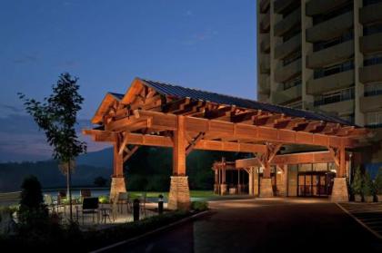 The Park Vista - A DoubleTree by Hilton Hotel - Gatlinburg - image 3