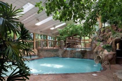 The Park Vista - A DoubleTree by Hilton Hotel - Gatlinburg - image 5